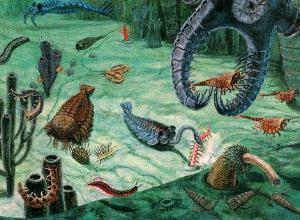 Fauna aqutica e extica do cambrianoa